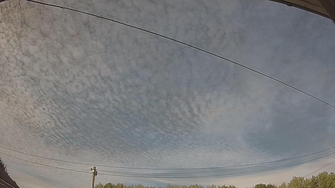 20260810_165920_cam2.jpg