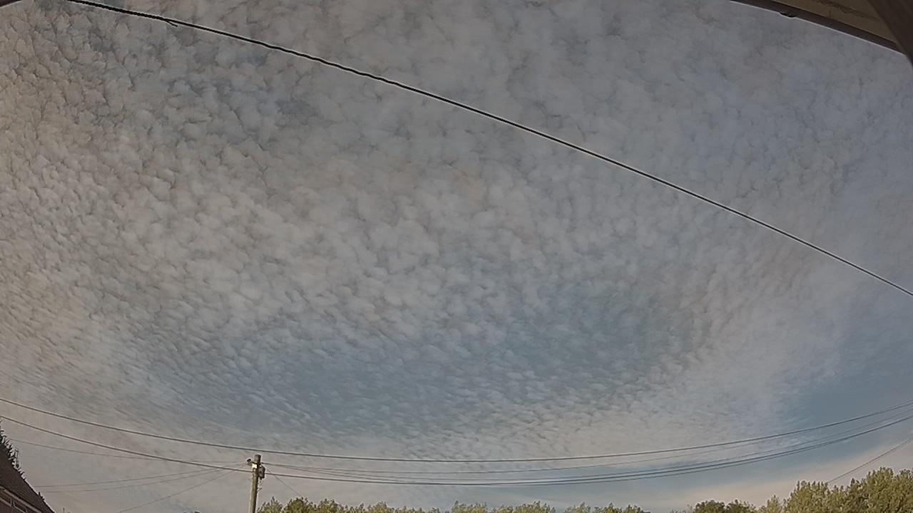 20260810_170321_cam2.jpg