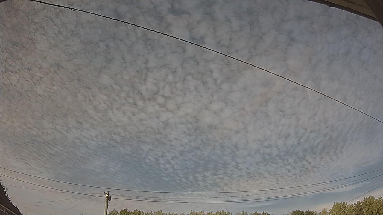 20260810_170721_cam2.jpg