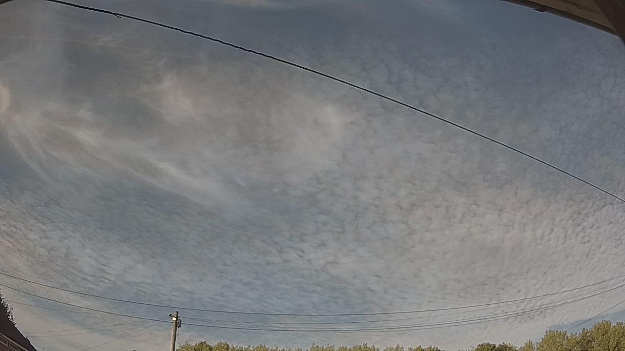 20260810_171921_cam2.jpg