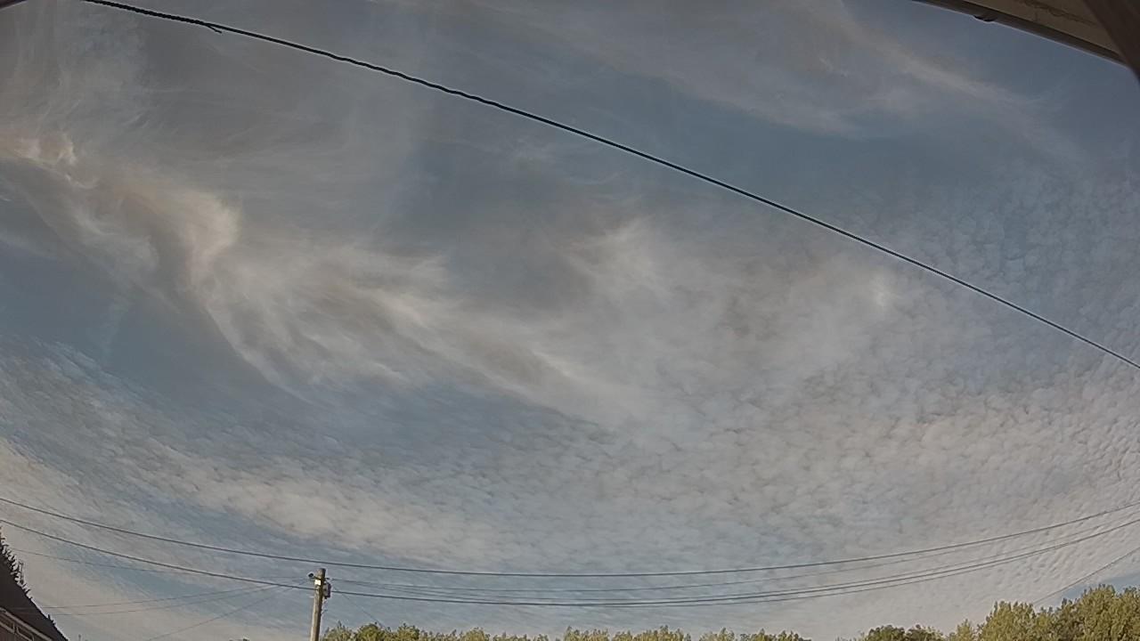20260810_172321_cam2.jpg