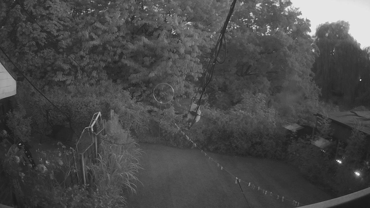 20260810_201822_cam1.jpg