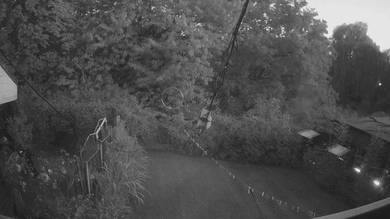 20260810_202240_cam1.jpg