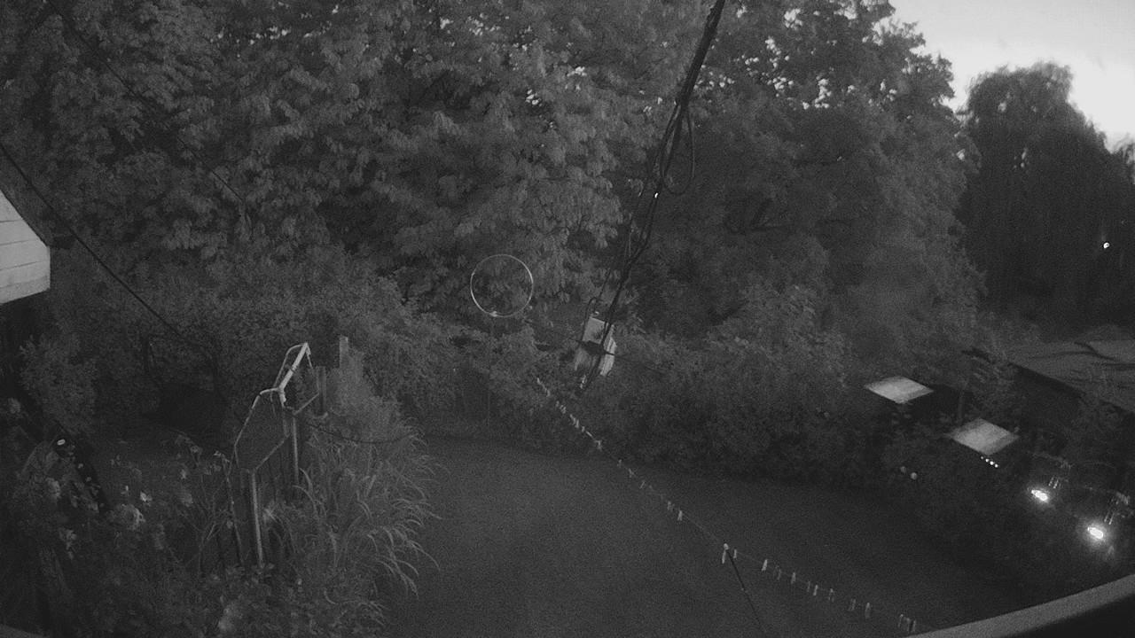20260810_202659_cam1.jpg