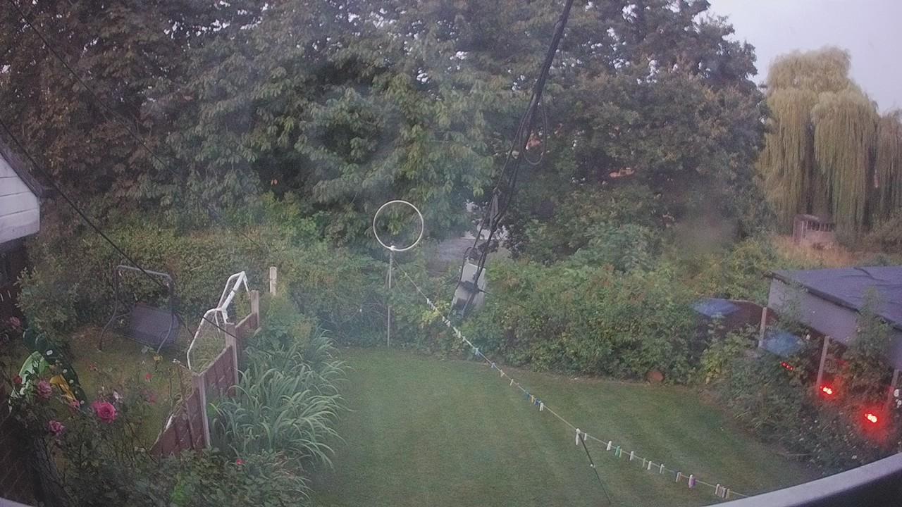 20260811_042126_cam1.jpg