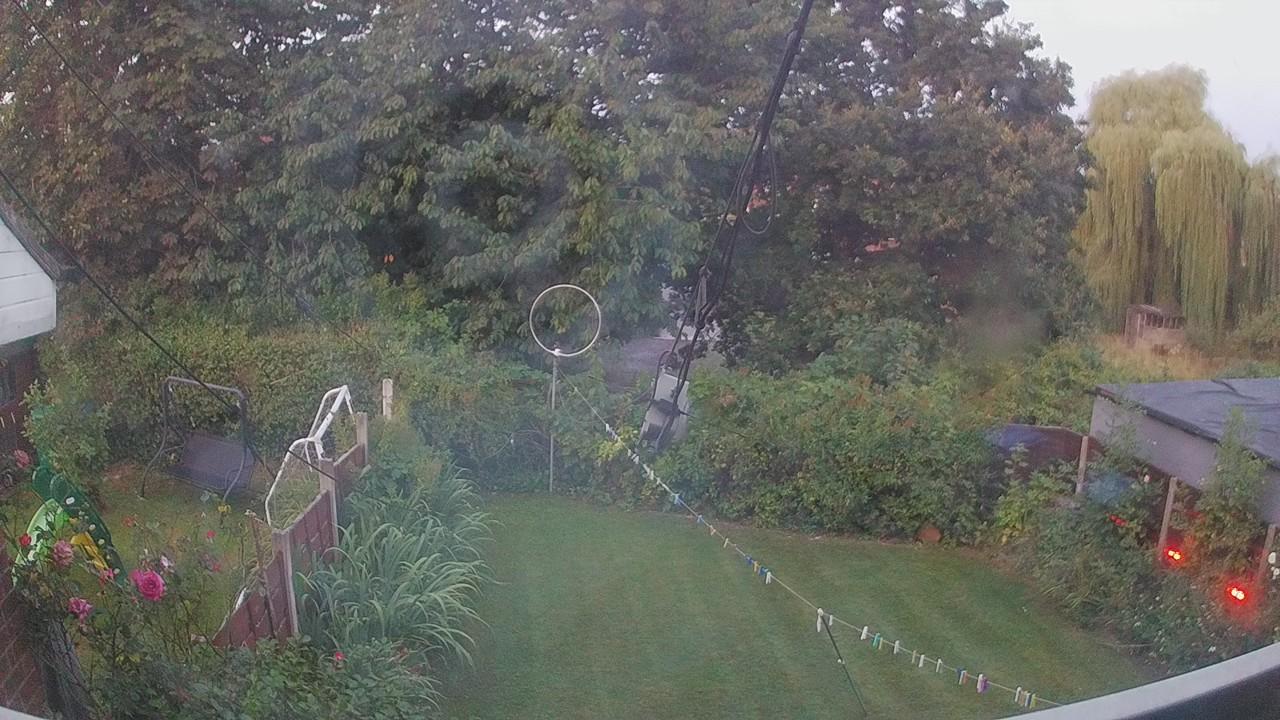 20260811_042620_cam1.jpg