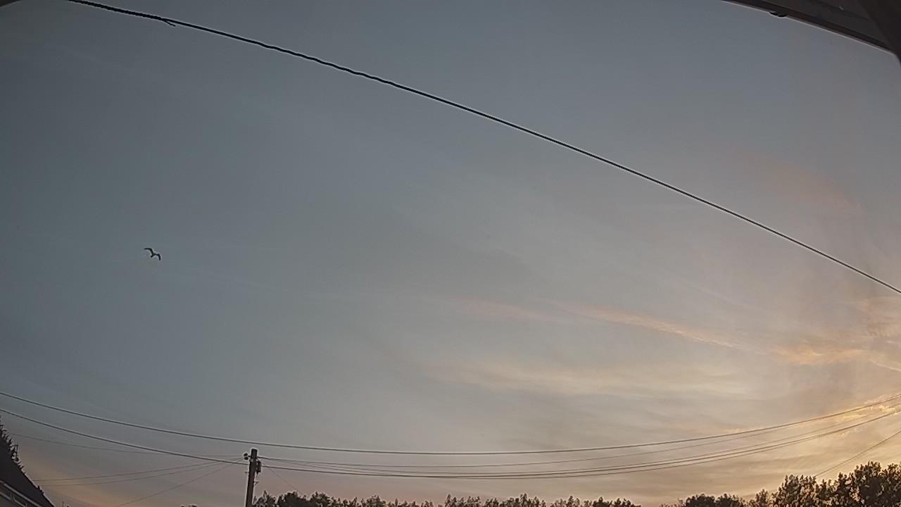 20260811_044036_cam2.jpg