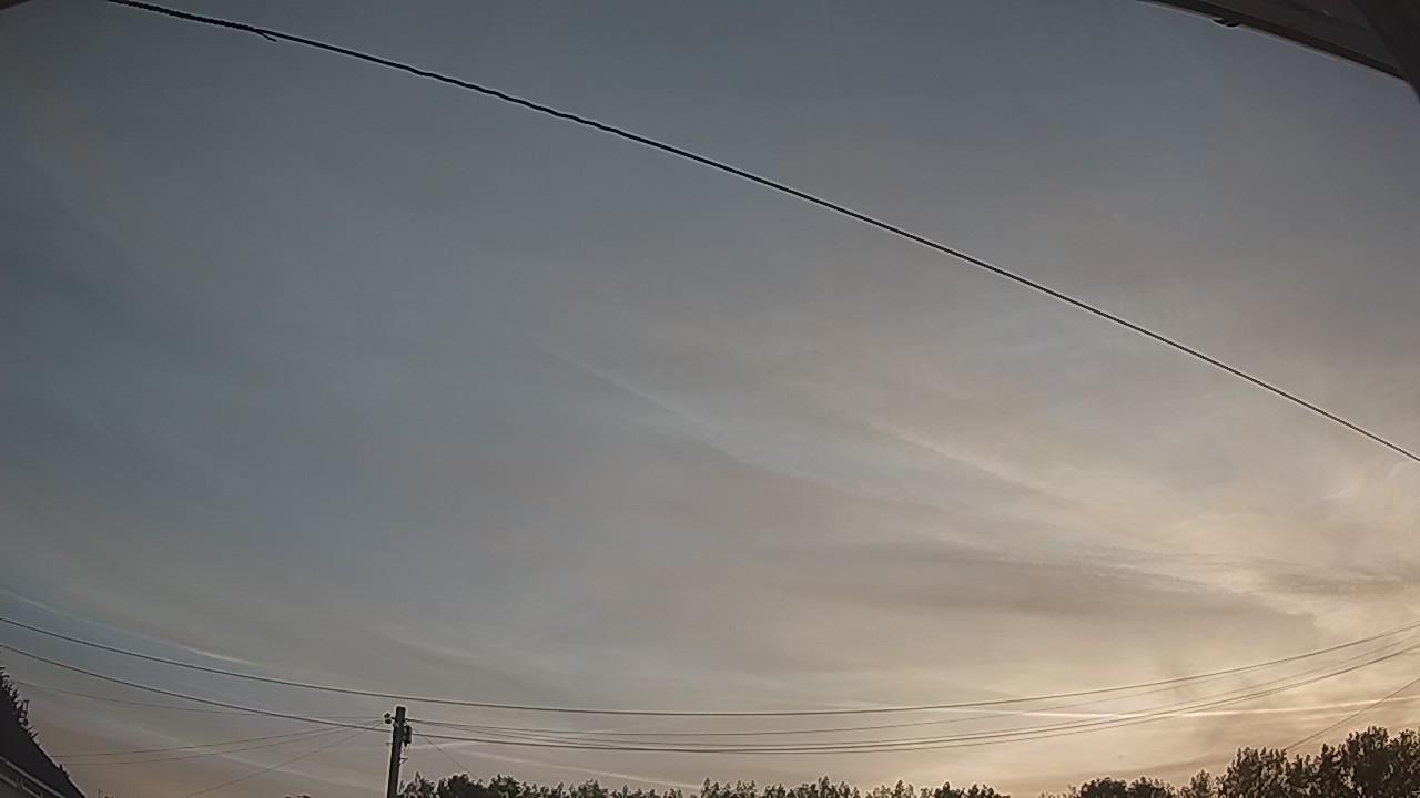20260811_045452_cam2.jpg