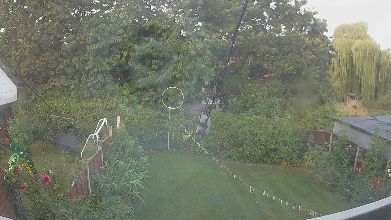 20260811_050848_cam1.jpg