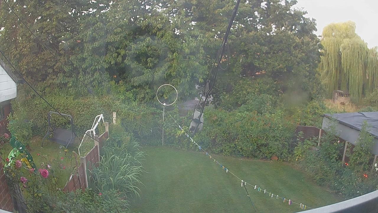 20260811_051324_cam1.jpg
