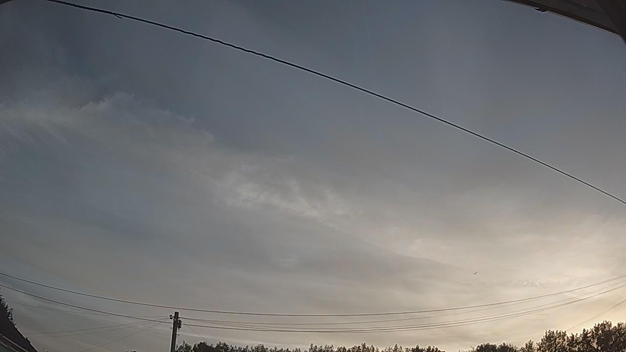 20260811_051325_cam2.jpg
