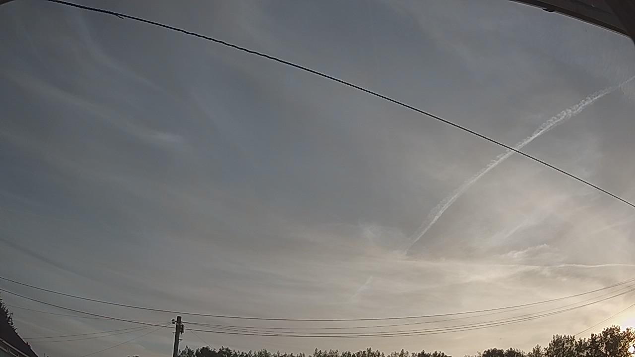20260811_053158_cam2.jpg