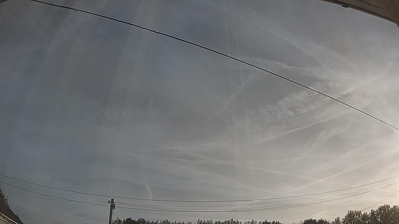 20260811_060955_cam2.jpg
