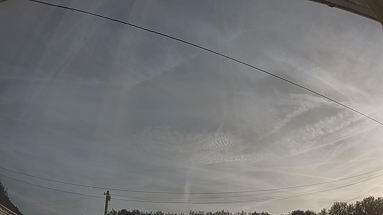 20260811_061440_cam2.jpg