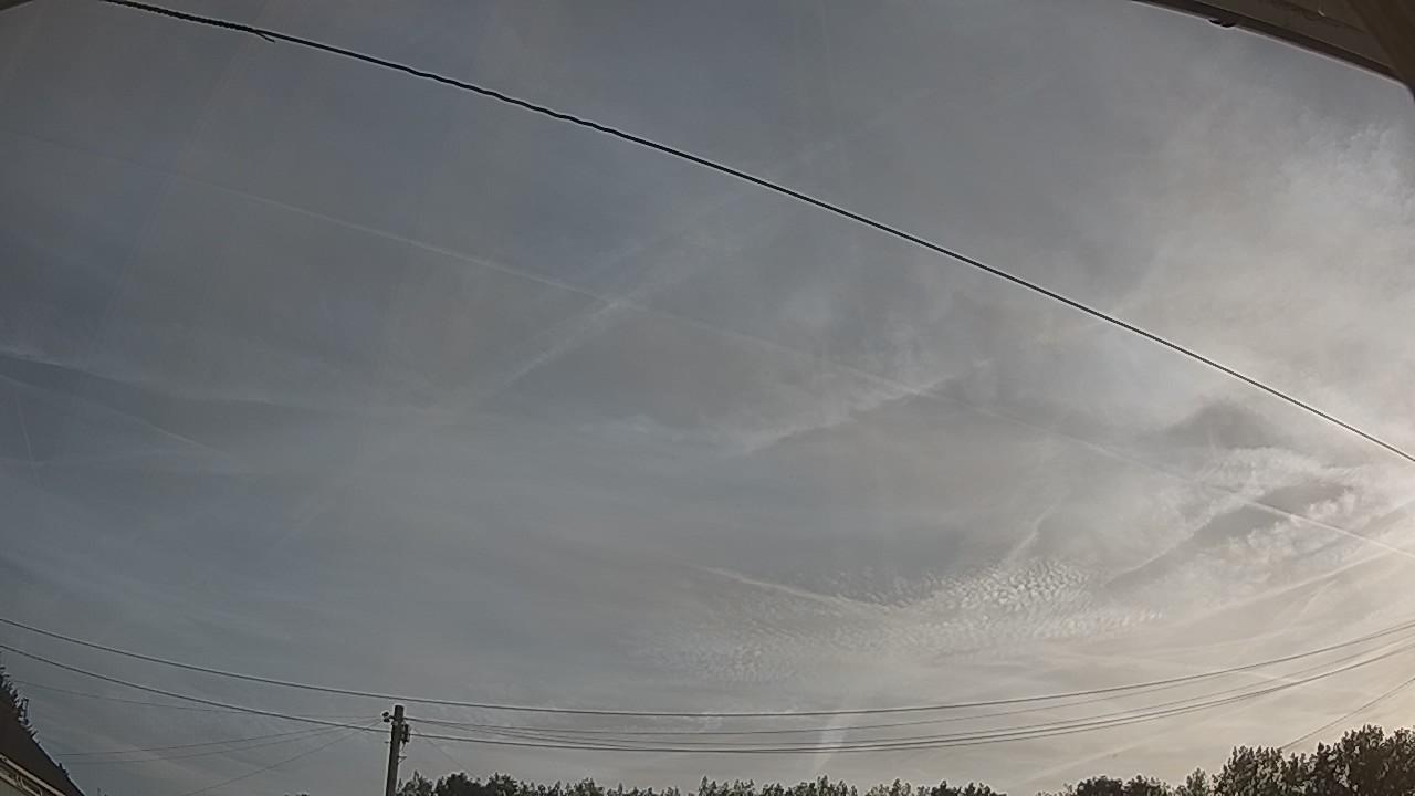20260811_061925_cam2.jpg