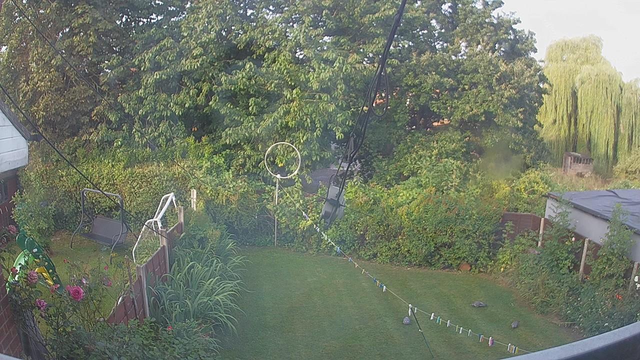 20260811_062855_cam1.jpg
