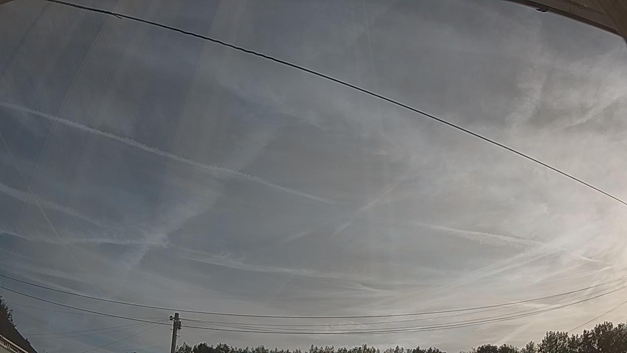 20260811_063350_cam2.jpg
