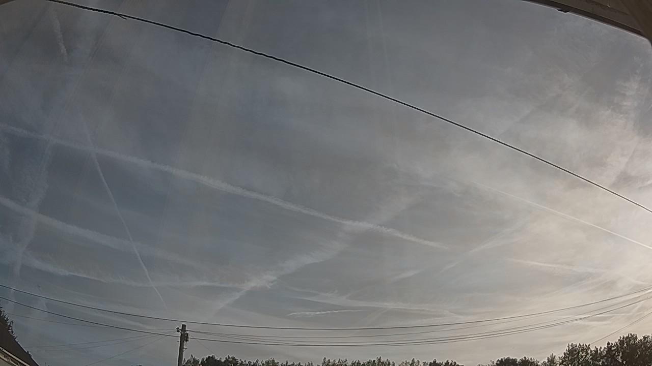 20260811_063844_cam2.jpg