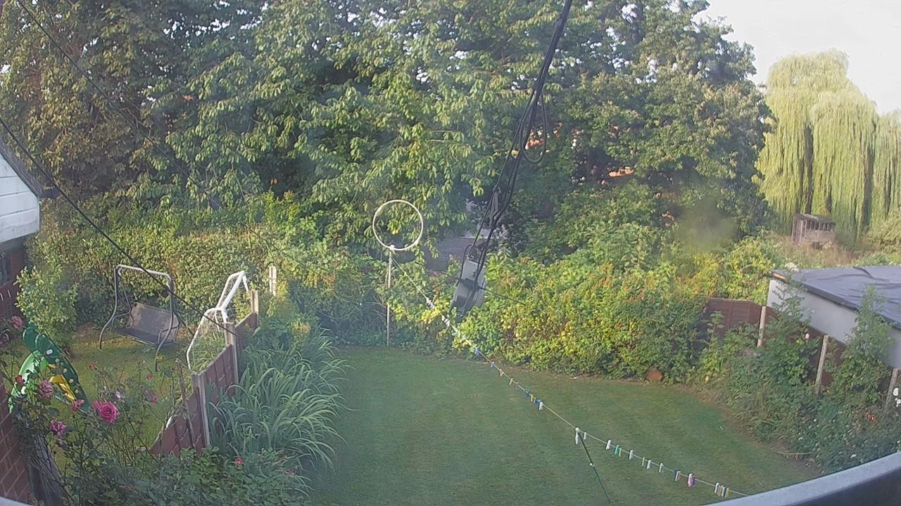 20260811_064337_cam1.jpg