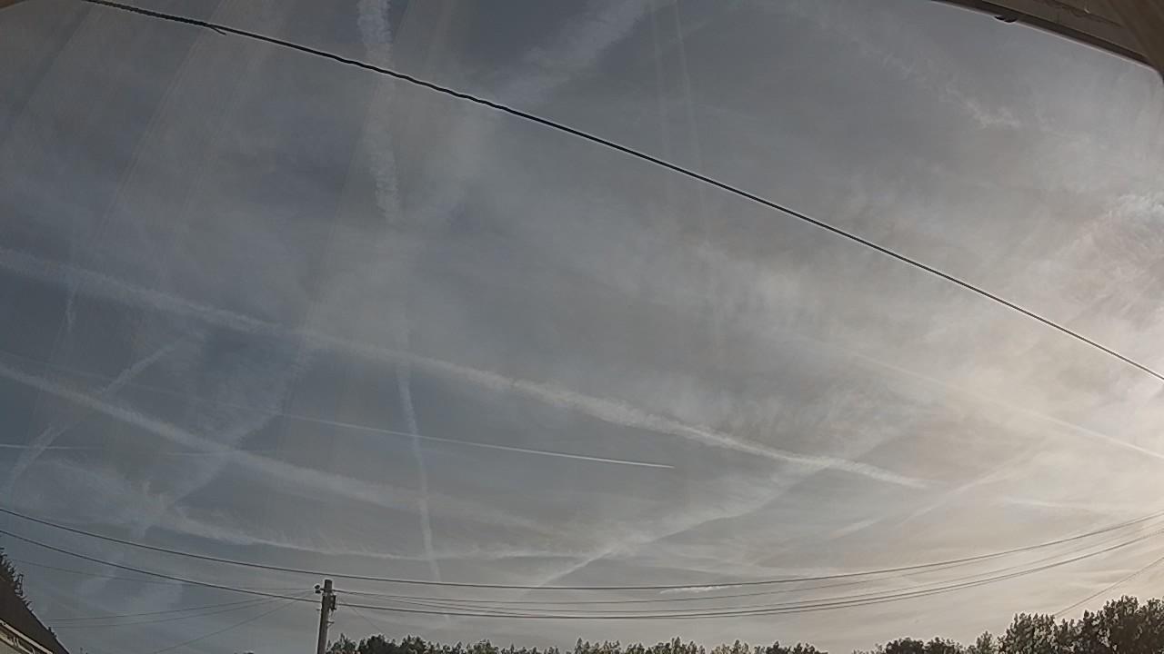 20260811_064338_cam2.jpg
