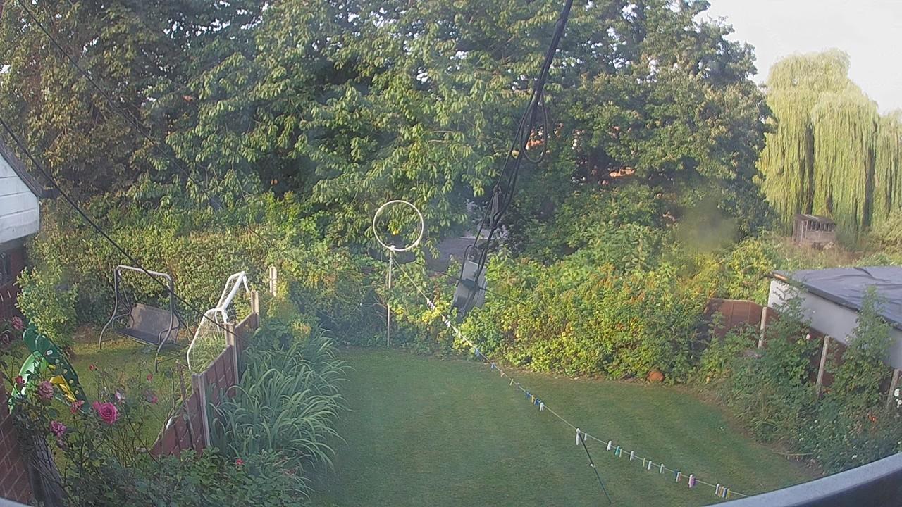 20260811_064831_cam1.jpg
