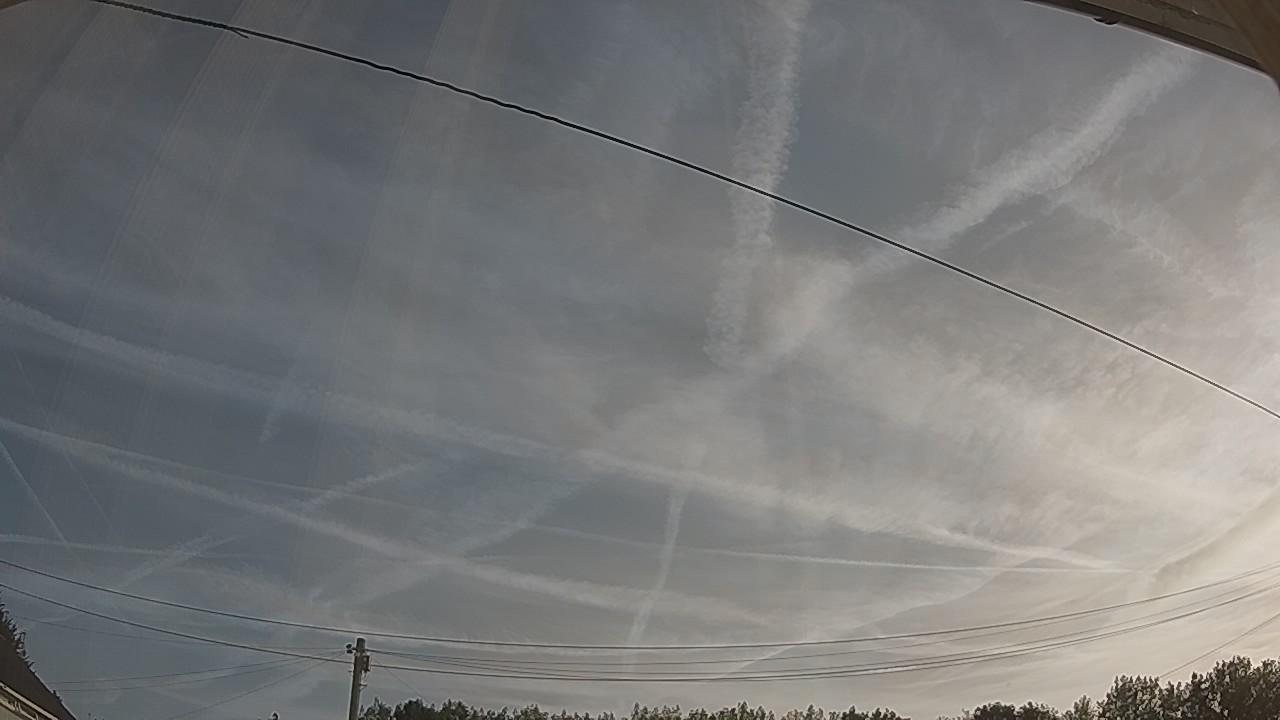 20260811_064832_cam2.jpg