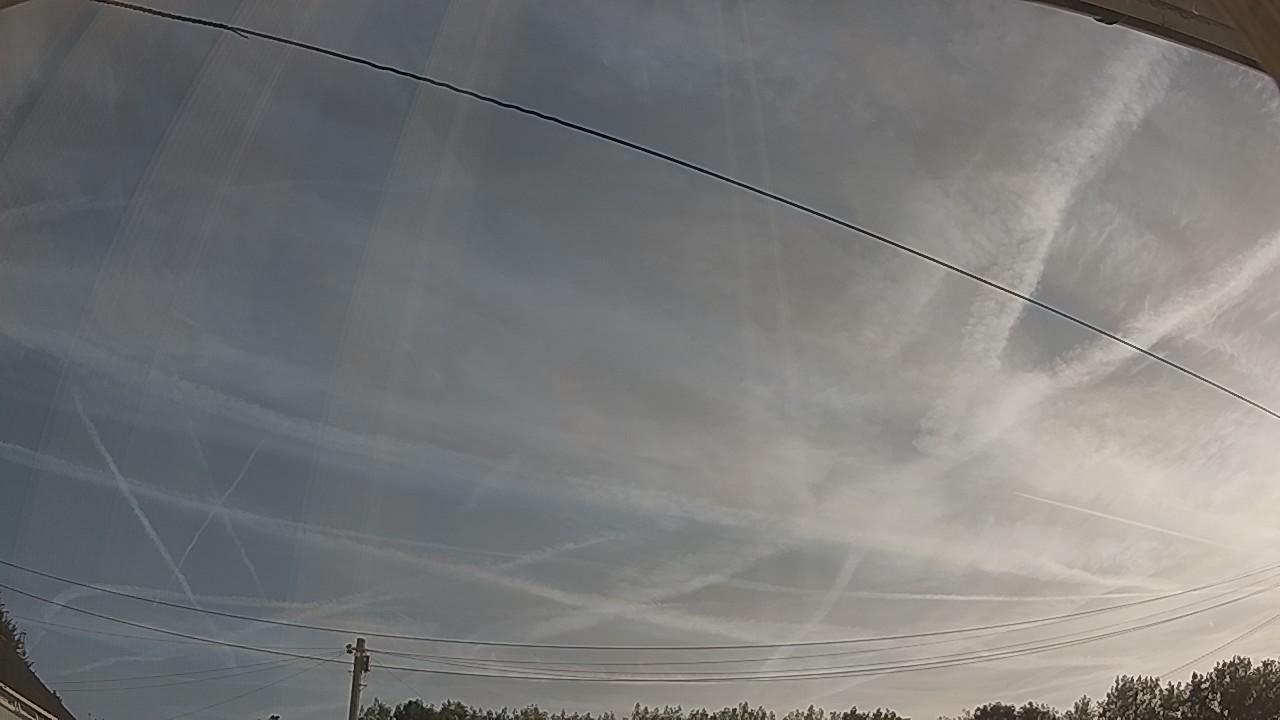 20260811_065326_cam2.jpg