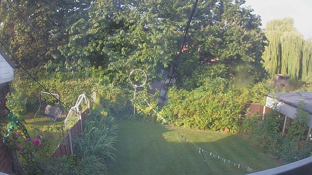 20260811_065819_cam1.jpg