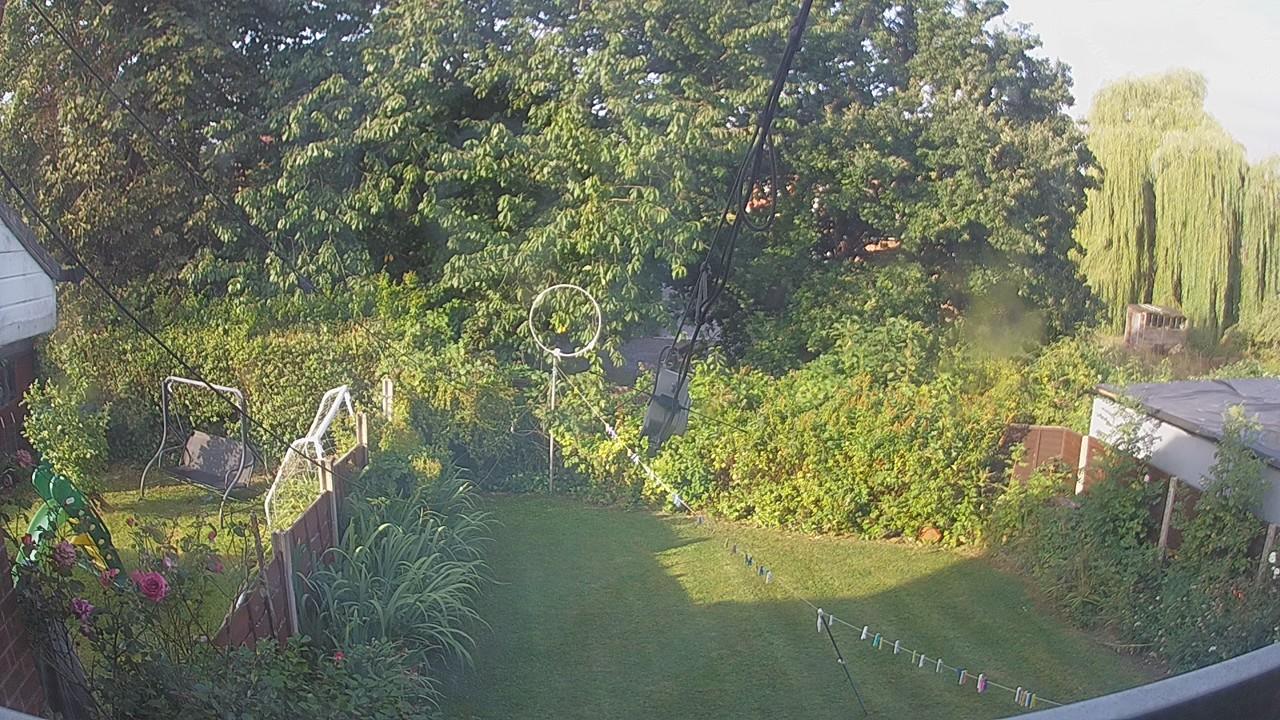 20260811_070246_cam1.jpg