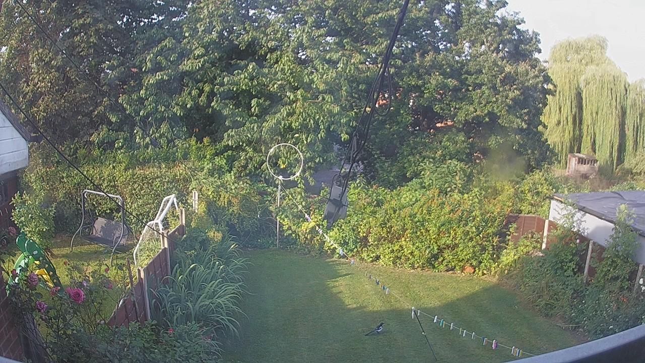 20260811_070714_cam1.jpg