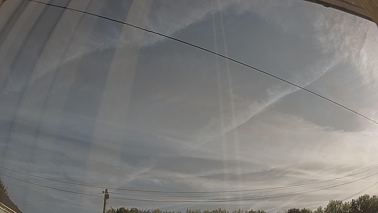 20260811_072036_cam2.jpg