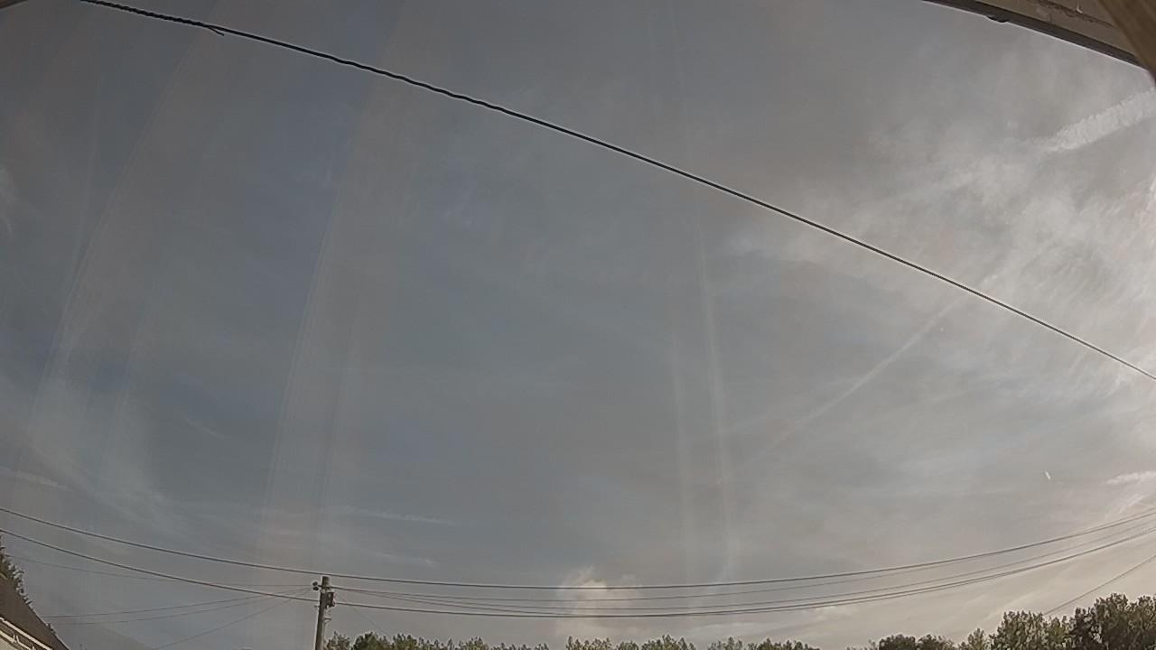 20260811_075146_cam2.jpg