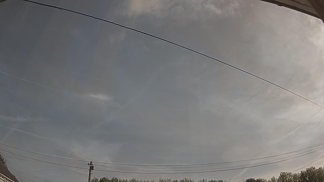 20260811_080040_cam2.jpg