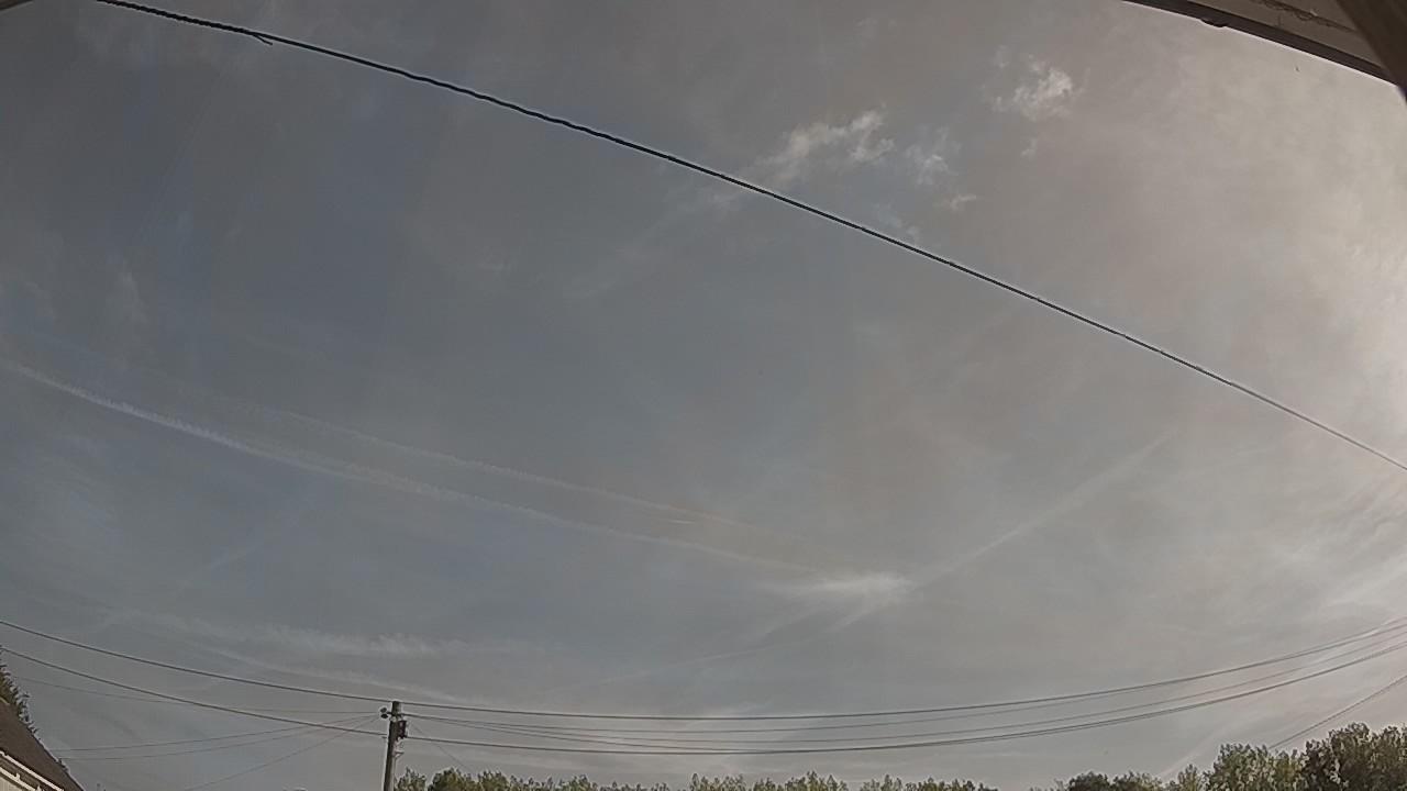 20260811_080934_cam2.jpg