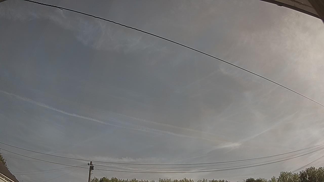 20260811_081401_cam2.jpg