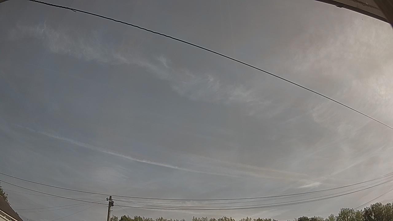 20260811_081828_cam2.jpg