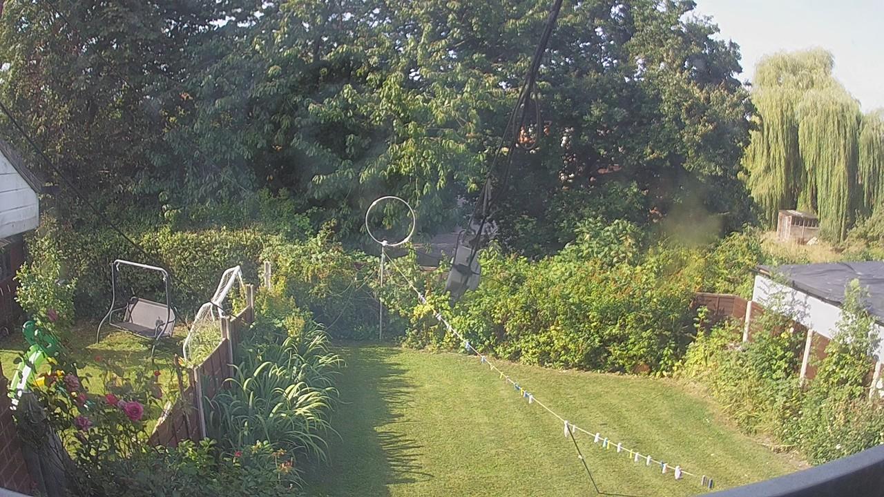 20260811_083600_cam1.jpg