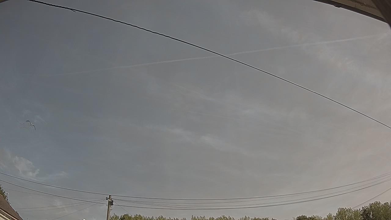 20260811_094403_cam2.jpg