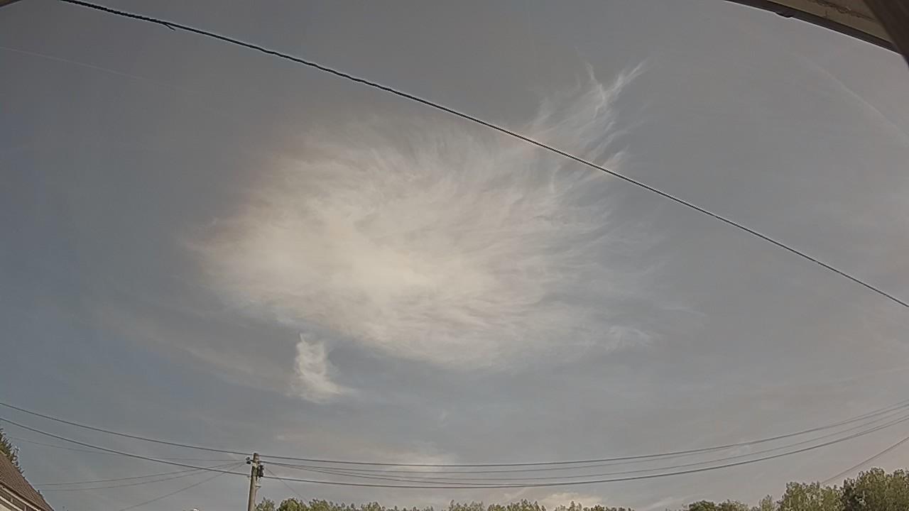 20260811_101136_cam2.jpg
