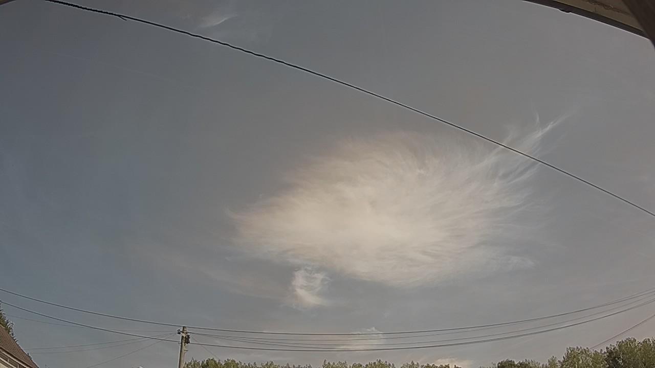 20260811_101536_cam2.jpg