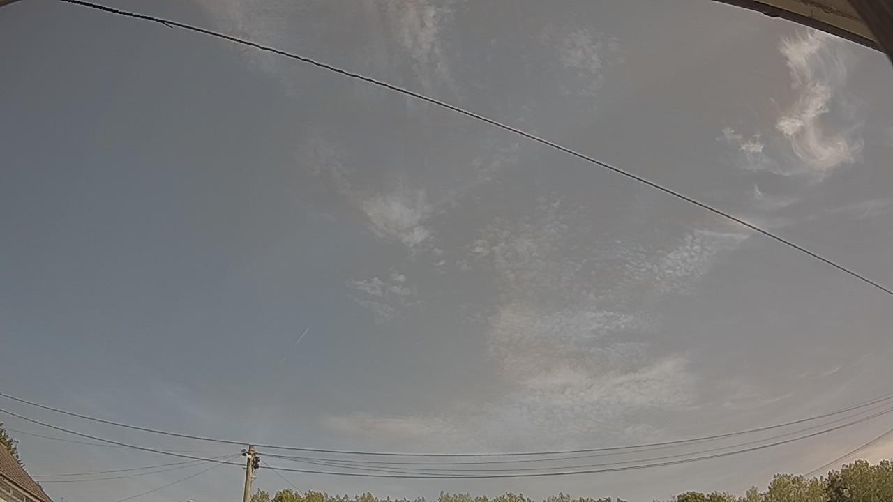 20260811_105231_cam2.jpg