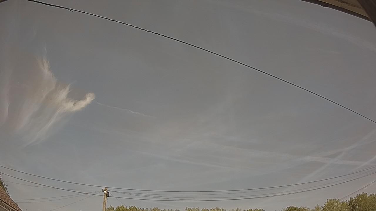 20260811_124621_cam2.jpg