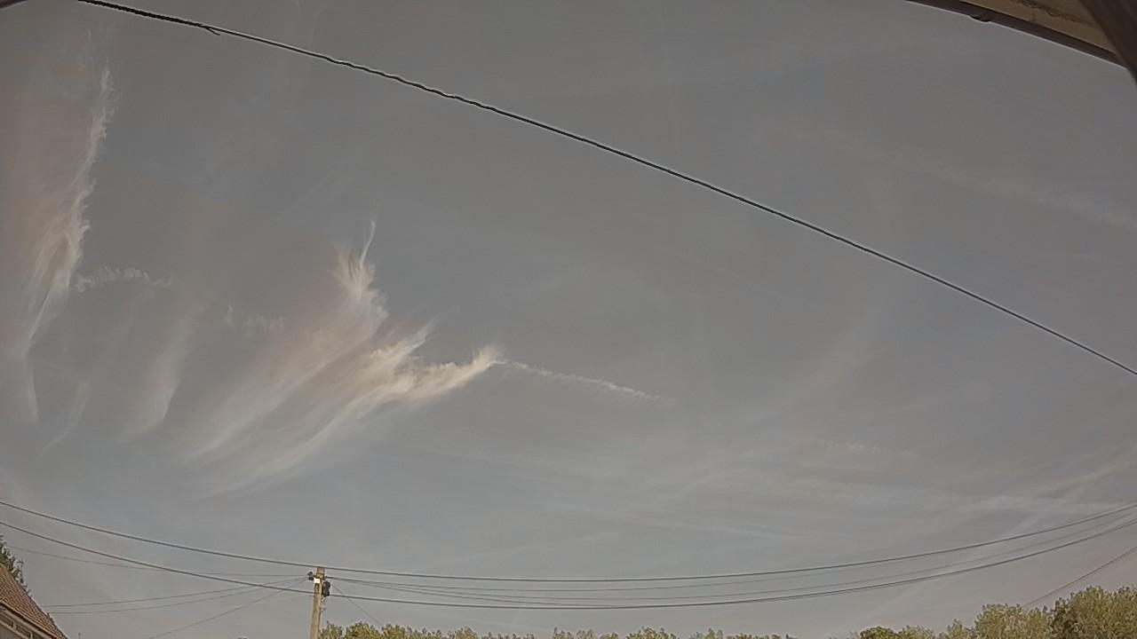 20260811_125039_cam2.jpg