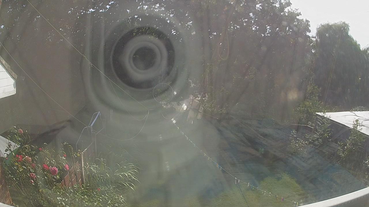20260811_155318_cam1.jpg