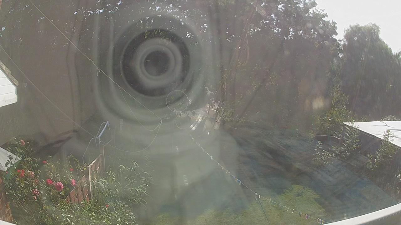 20260811_160828_cam1.jpg