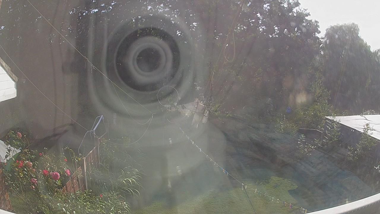 20260811_162652_cam1.jpg