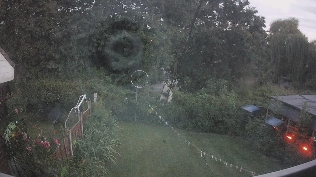20260811_201038_cam1.jpg
