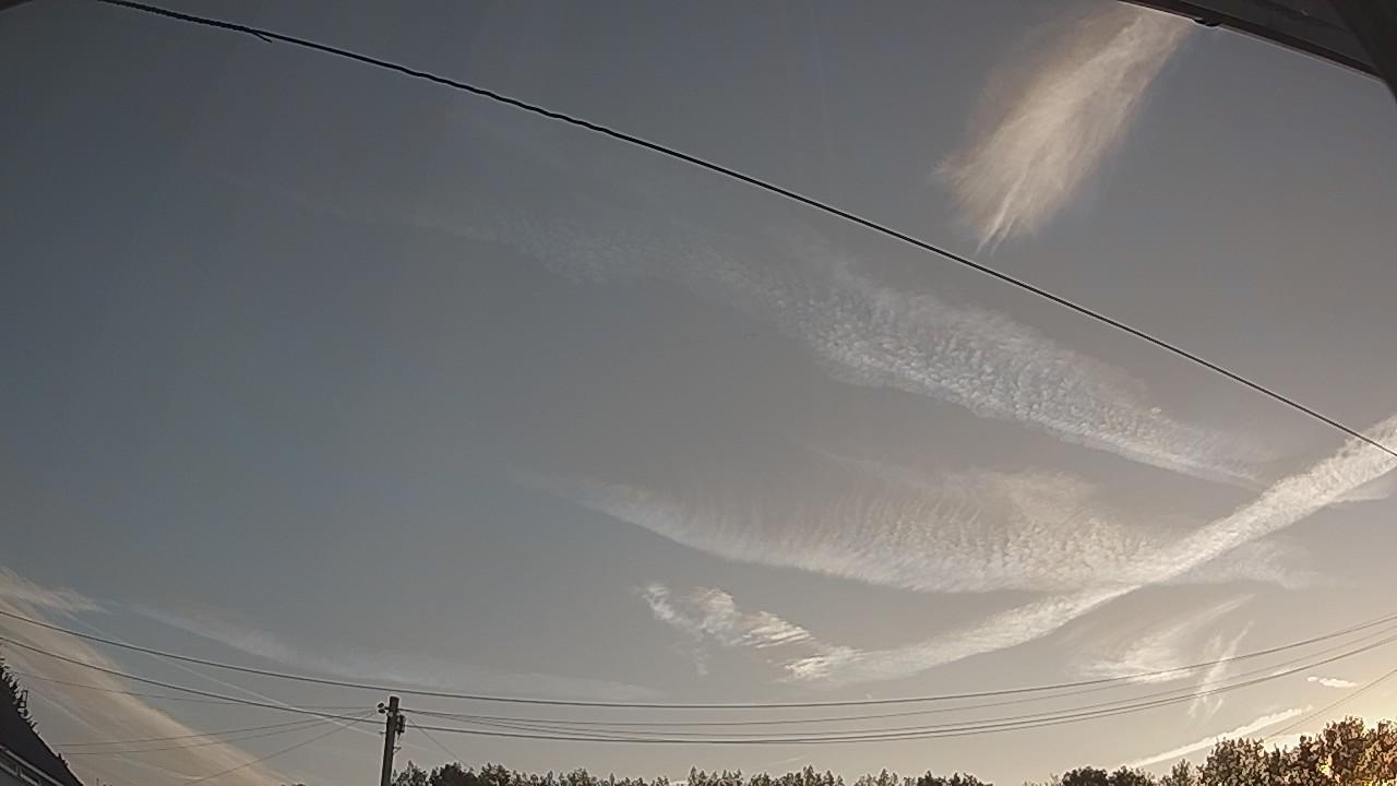 20260812_052338_cam2.jpg