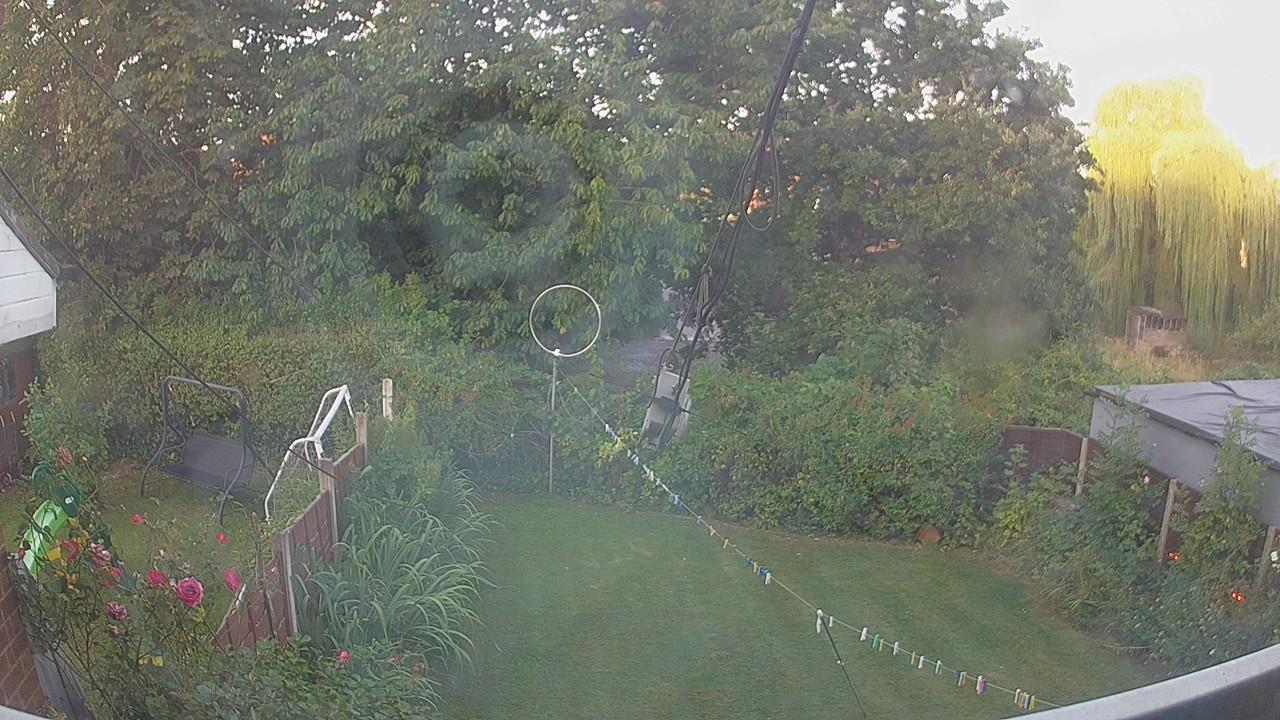 20260812_052823_cam1.jpg