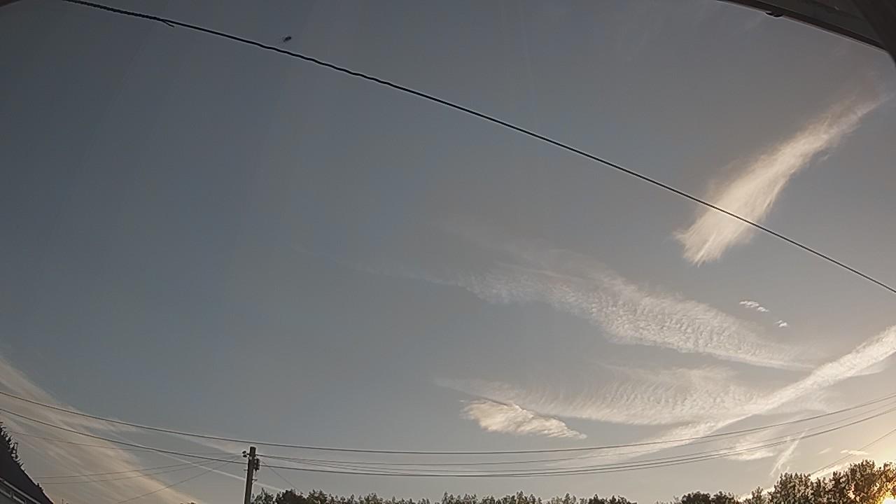 20260812_052824_cam2.jpg